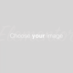 Placeholder Placeholder